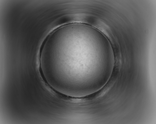 X0000090431132200707131156