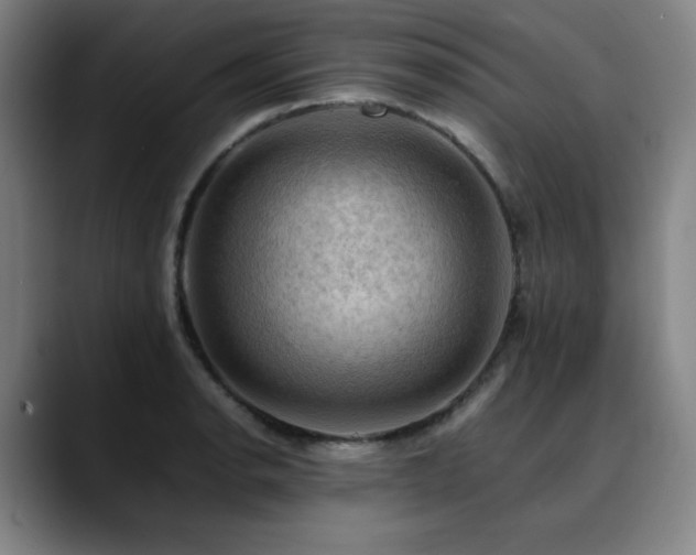 X0000090431134200707131156