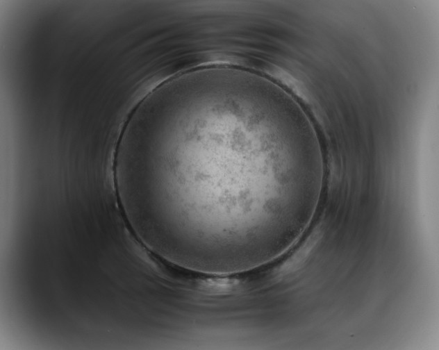 X0000090431137200707131156