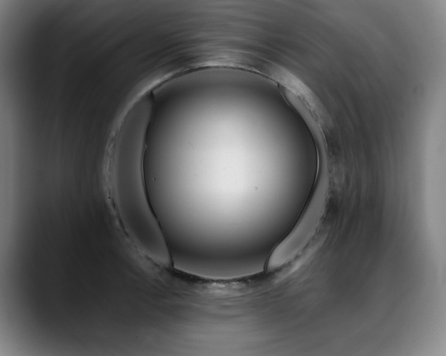 X0000090431138200707131156