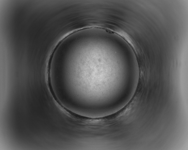 X0000090431143200707131156