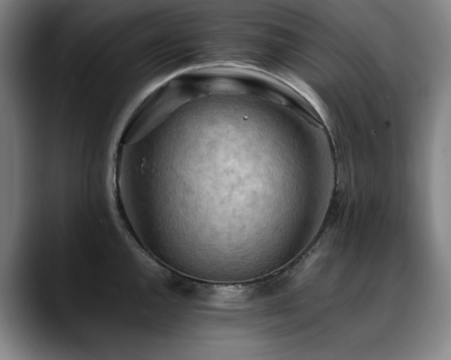 X0000090431144200707131156