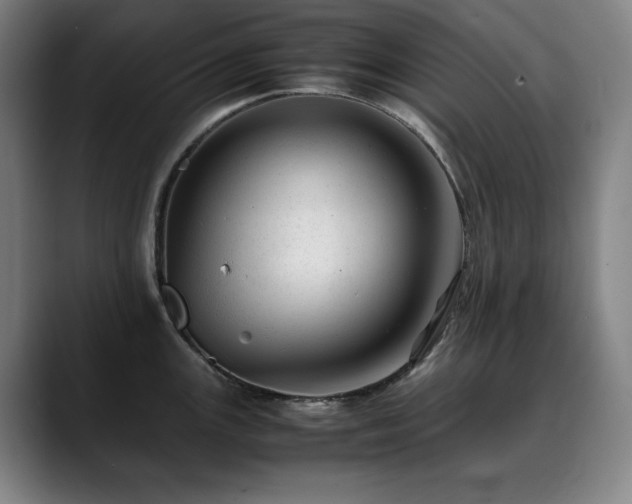 X0000090431147200707131156