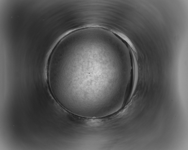 X0000090431148200707131156