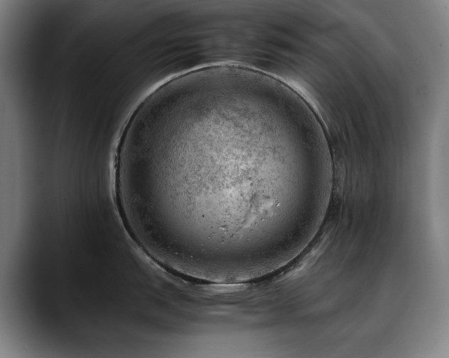 X0000090431151200707131157
