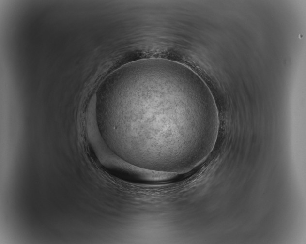 X0000090431153200707131156