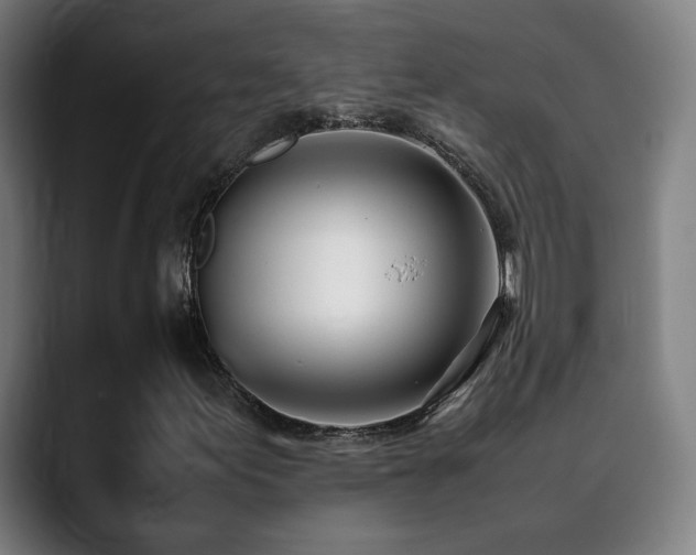 X0000090431155200707131156