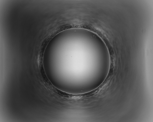 X0000090431157200707131156