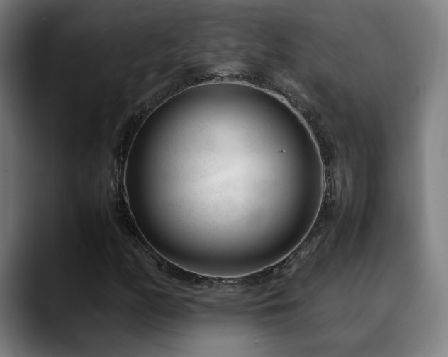 X0000090431158200707131156