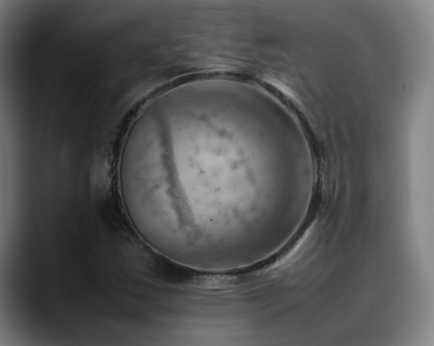 X0000090431163200707131156