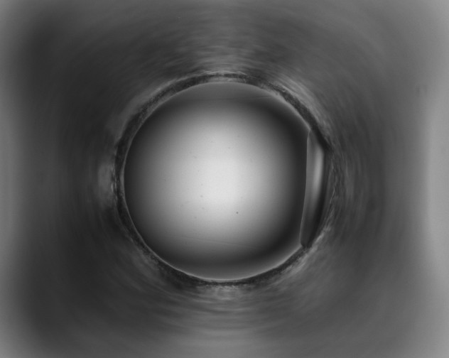 X0000090431164200707131156