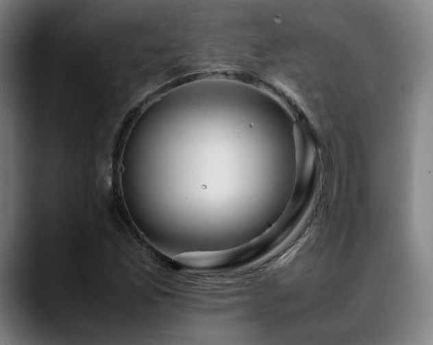 X0000090431165200707131156