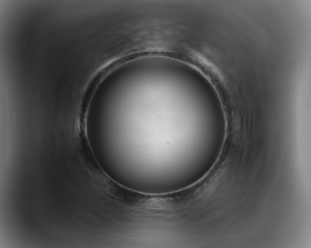 X0000090431166200707131156