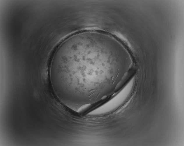 X0000090431167200707131156