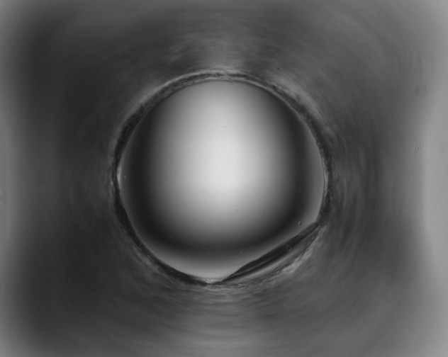 X0000090431168200707131156