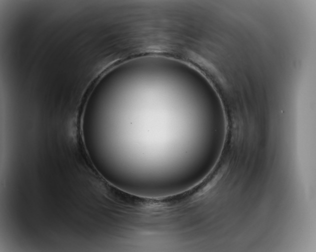 X0000090431170200707131156