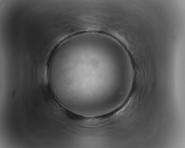 X0000090431171200707131156