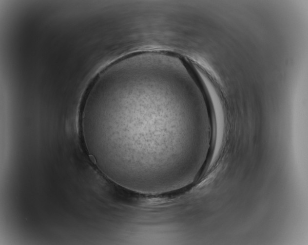 X0000090431173200707131156