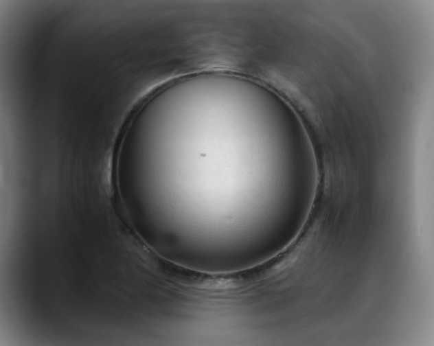 X0000090431174200707131156