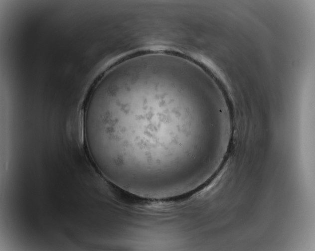 X0000090431175200707131156