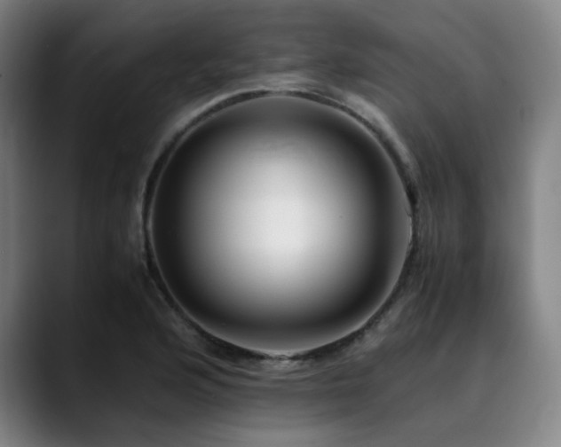 X0000090431176200707131156