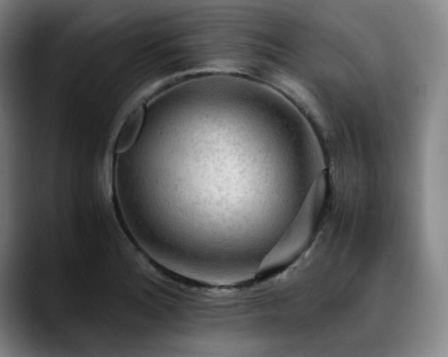 X0000090431180200707131156