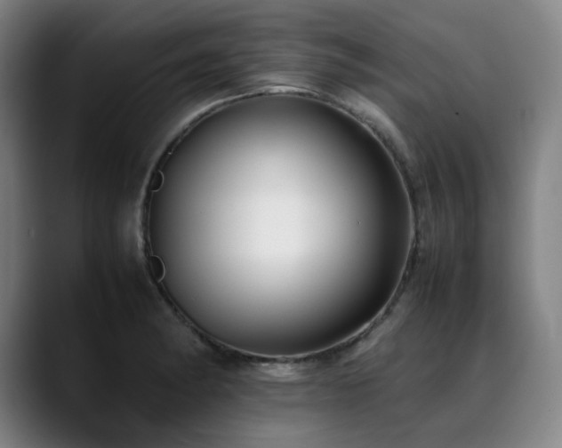 X0000090431182200707131156