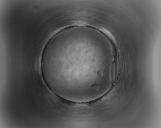 X0000090431183200707131156