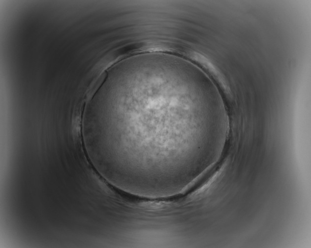 X0000090431185200707131156