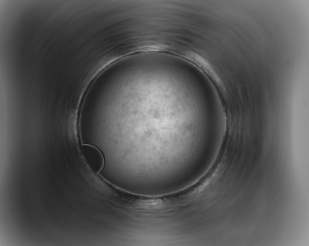 X0000090431186200707131156