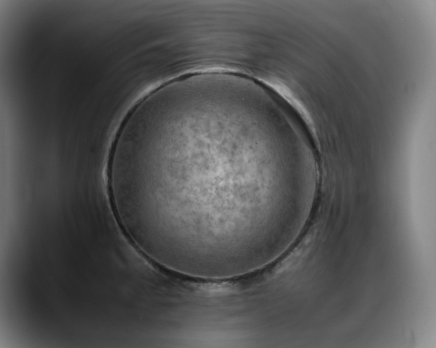 X0000090431189200707131156