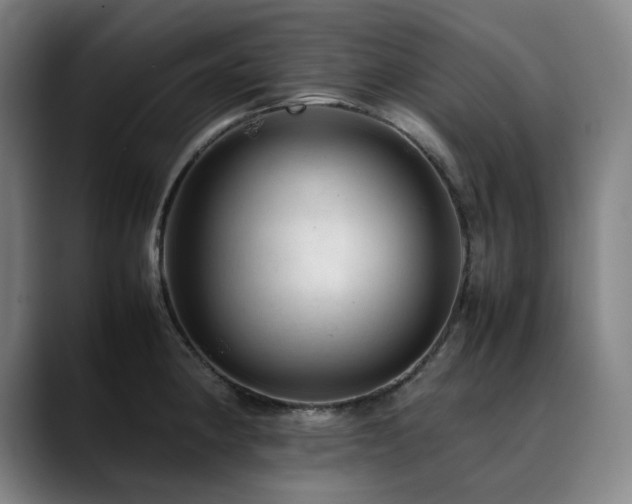 X0000090431190200707131156