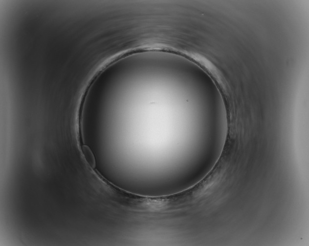 X0000090431191200707131156