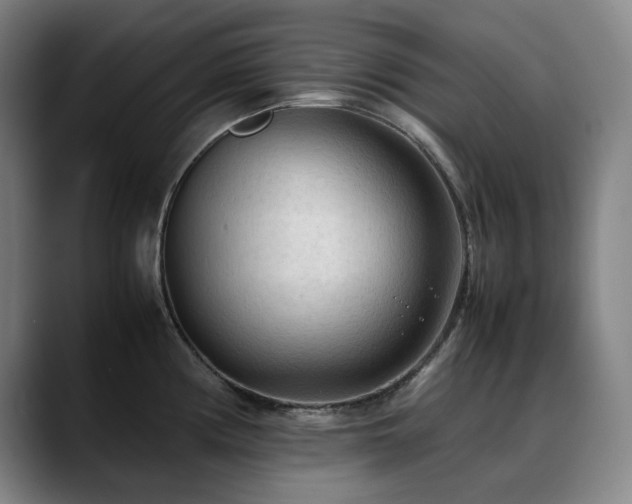 X0000090431194200707131155