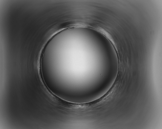 X0000090431195200707131155