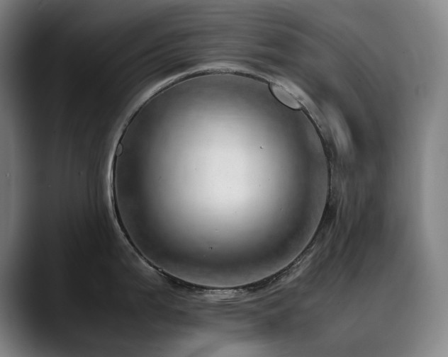 X0000090431199200707131155