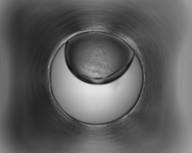 X0000090431200200707131155