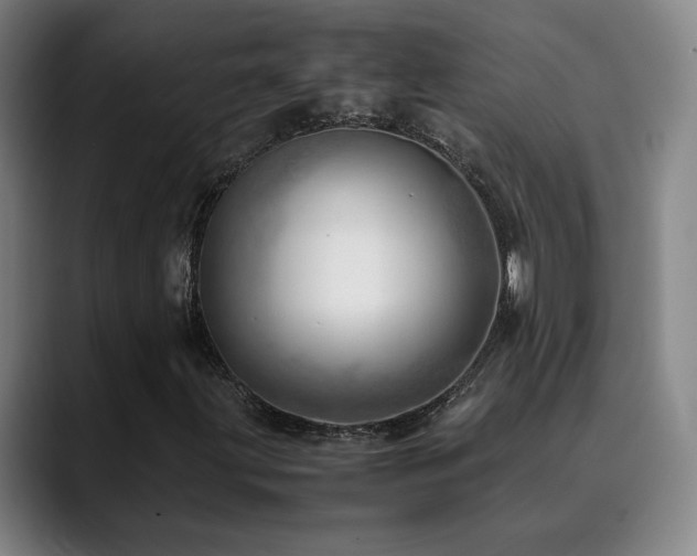 X0000090431203200707131155