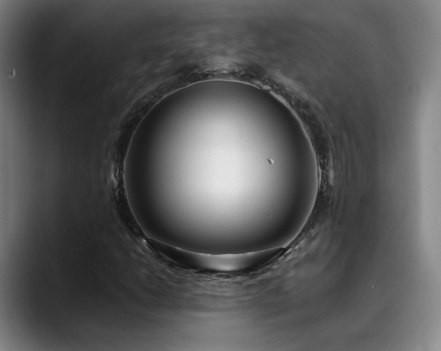X0000090431206200707131155
