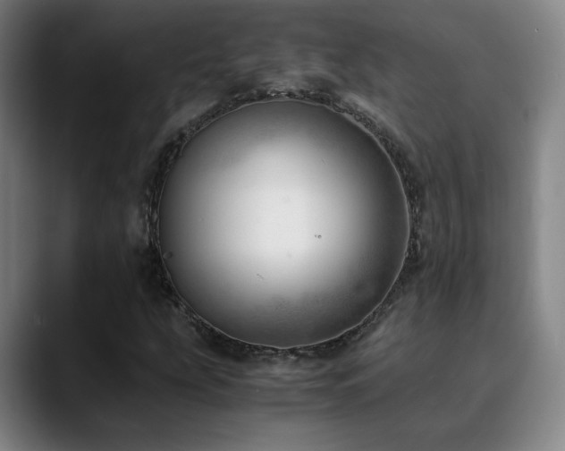 X0000090431207200707131155