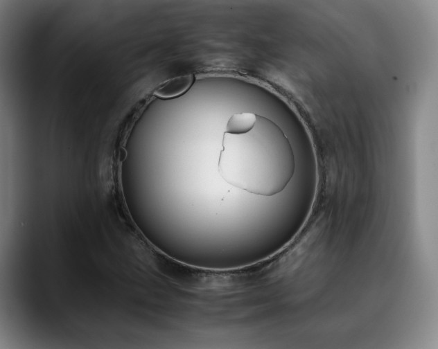 X0000090431211200707131155