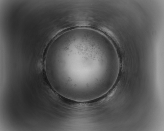 X0000090431212200707131155