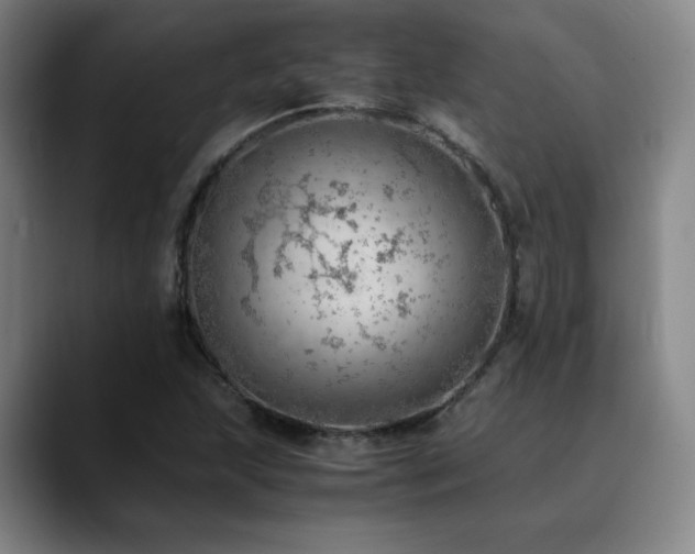 X0000090431215200707131155