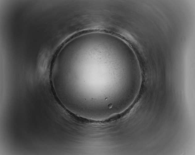 X0000090431216200707131155