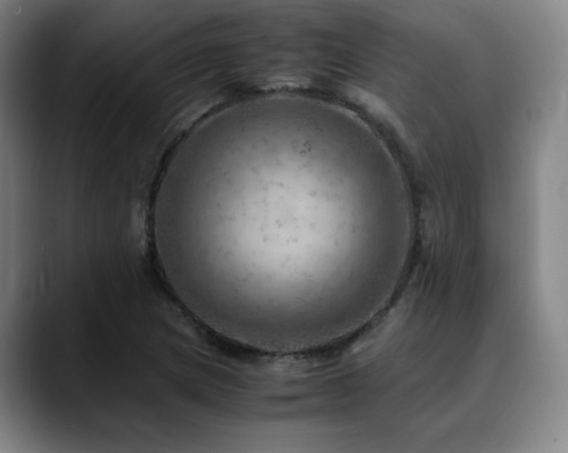 X0000090431217200707131155