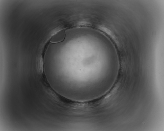 X0000090431219200707131155