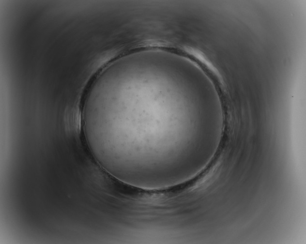 X0000090431221200707131155
