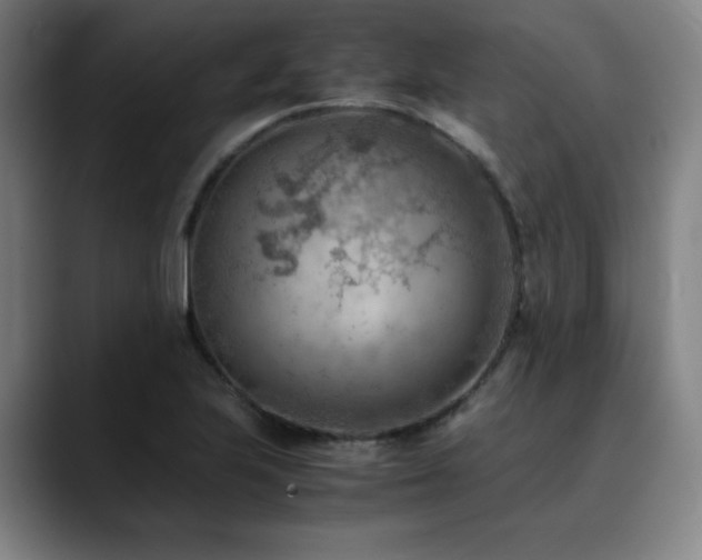 X0000090431223200707131155