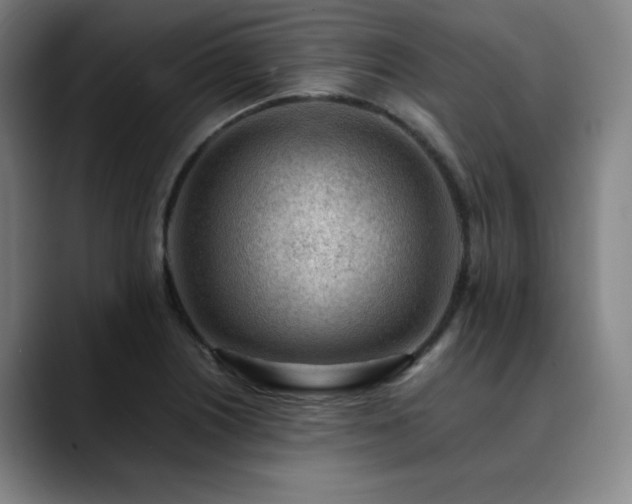 X0000090431226200707131155