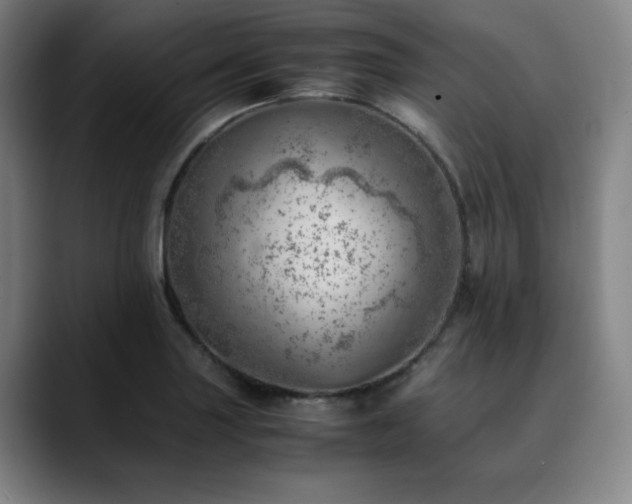 X0000090431227200707131155